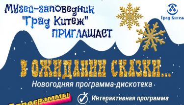 Новогодние прораммы в МТК "Град Китеж"!